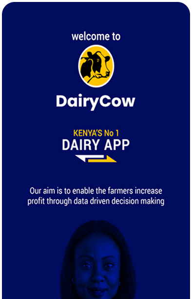 Dairy Cow Mobile 1